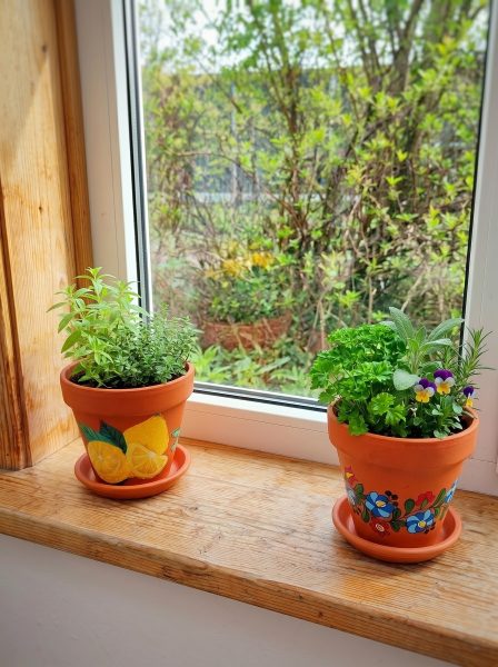 Dwie ręcznie pomalowane doniczki z terakoty stojące na drewnianym parapecie przy oknie. W jednej (wzór w cytryny) rośnie tymianek, w drugiej (wzór w ludowe kwiaty) rośnie pietruszka i bratek. W tle widok na zielony ogród