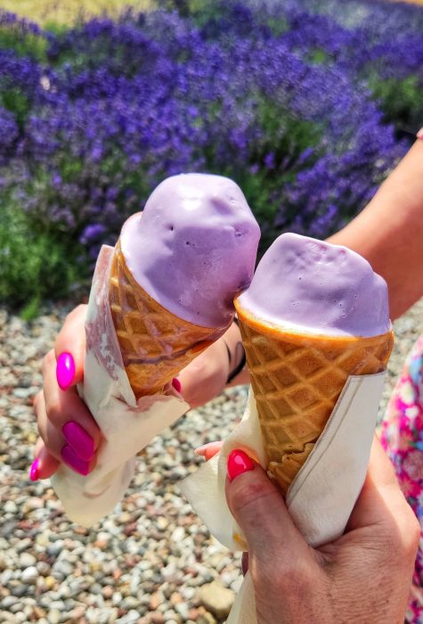 Dwie dłonie z jaskraworóżowym manicure trzymają dwa rożki z fioletowymi lodami lawendowymi na rozmytym tle kwitnącego pola lawendy