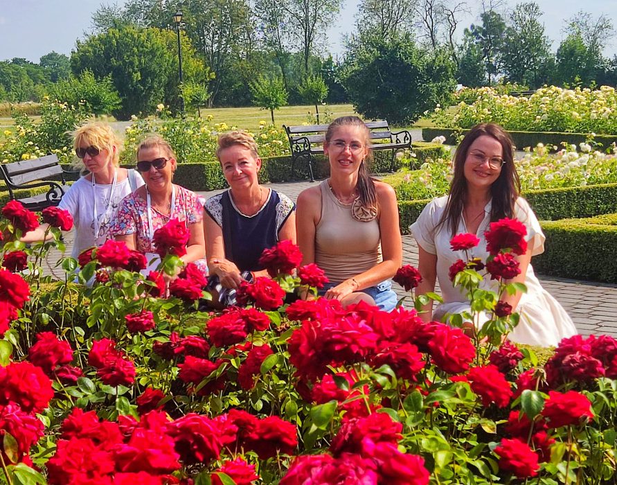 Pięć uśmiechniętych kobiet siedzi na ławce i murku w parku, pozując za gęstym krzewem rozkwitłych, krwistoczerwonych róż w słoneczny dzień